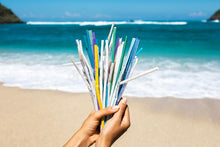 Load image into Gallery viewer, Bambusa Bamboo Eco Reusable Straws with Cleaner Brush  30 Pack