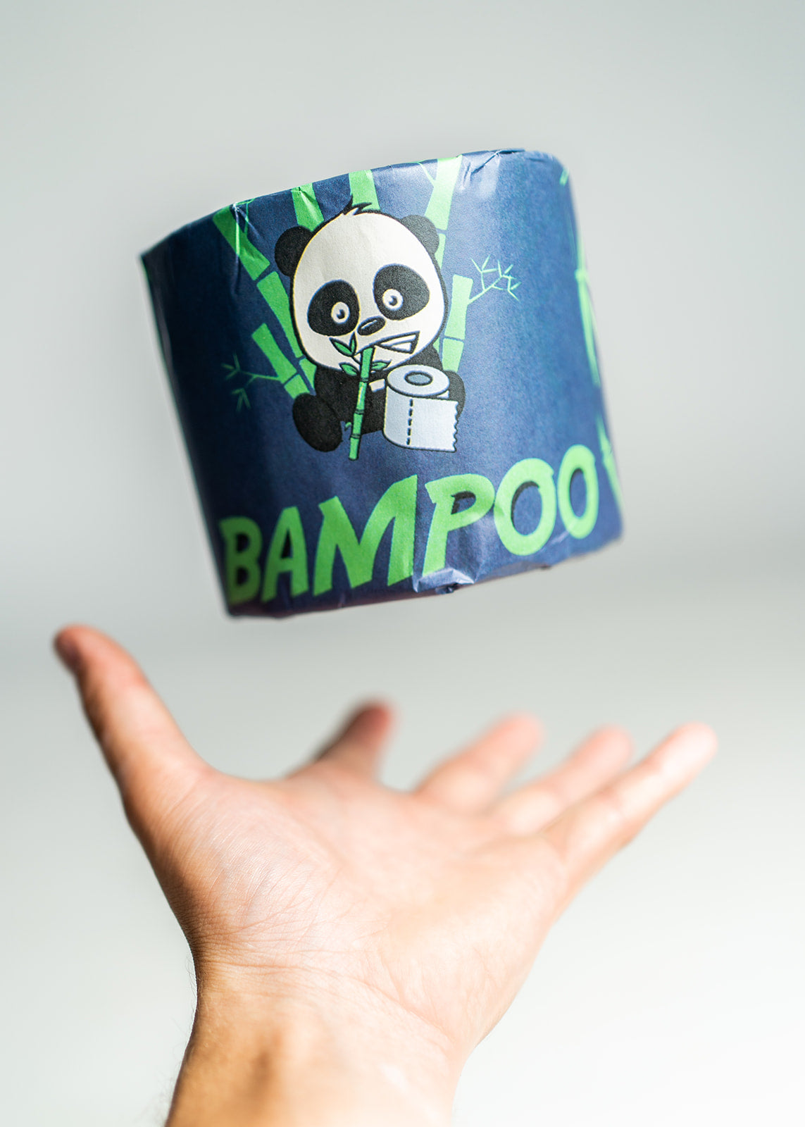Bamboo  Premium Toilet Paper (12-Jumbo Rolls)